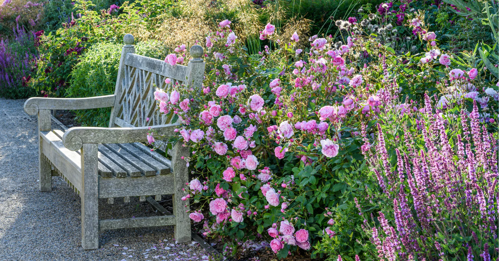 Cultivate Your Eternal Garden Sanctuary